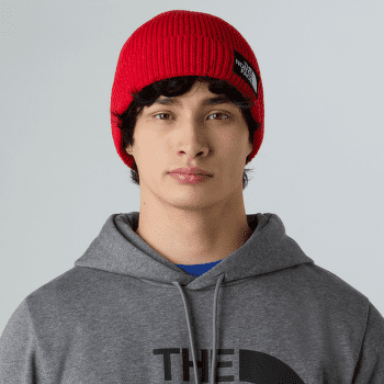 Căciuli The North Face TNF LOGO BOX CUFFED BEANIE PEAK PURPLE