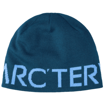 Căciuli Arcteryx Word Head Toque Nightscape / Glacial
