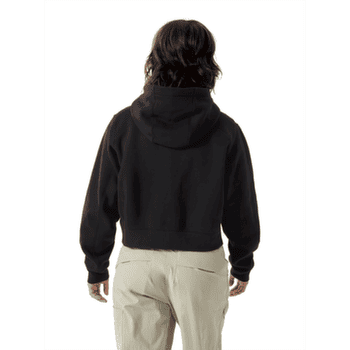 Hanorac Arcteryx Emblem Fleece Full Zip Crop Hoody Women Arctic Silk