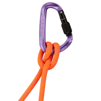 Carabină Mammut Classic HMS Screwgate Carabiner Screw Gate alpine calamint