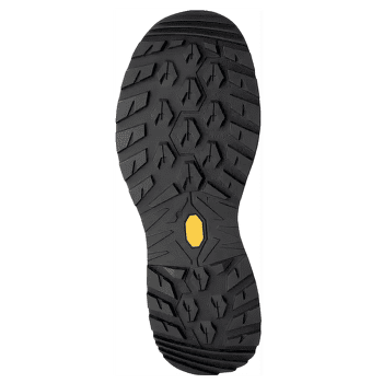 Încălțăminte Lowa Renegade EVO GTX Lo Women graphite/apricot