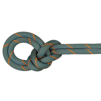 Frânghie Mammut 9.9 Crag Workhorse Dry Rope 40301 boa-ocean