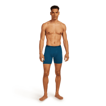 Boxeri Icebreaker Anatomica Long Boxers Men ATLANTIS