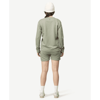 Tricou cu mânecă lungă Devold Everyday Crew Women FOG