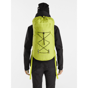 Rucsac Arcteryx Alpha FL 30 Dark Sprint