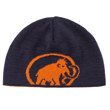 Căciuli Mammut Mammut Logo Beanie (1191-04891) arumita-night