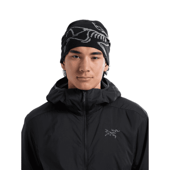 Căciuli Arcteryx Lightweight Bird Head Toque Soulsonic / Alpen