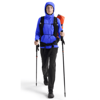 Jachetă Arcteryx Atom SL Hoody Women Electra