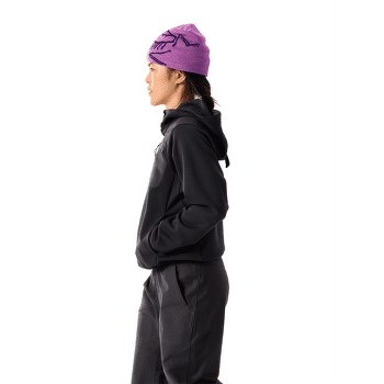Hanorac Arcteryx Aestas Pullover Hoody Women Solitude