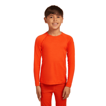 Tricou cu mânecă lungă Icebreaker Oasis LS Crewe Kids Gritstone HTHR