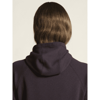 Tricou cu mânecă lungă Craft Grid Hood Women DK PLUM