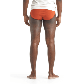 Slip Icebreaker Anatomica Briefs Men (103031) Black/Monsoon