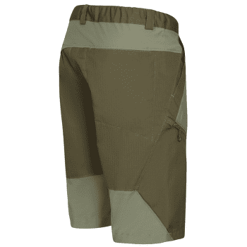 Pantaloni scurți Direct Alpine Fremont Short khaki