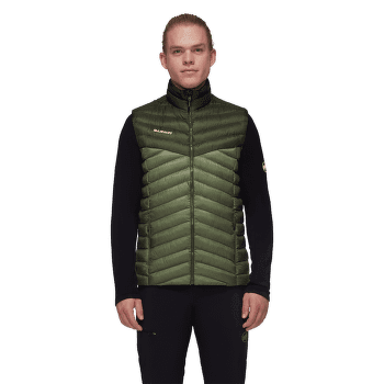 Vesta Mammut Albula IN Vest Men 40300 marsh-dark marsh