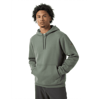 Hanorac Arcteryx Emblem Fleece Hoody Men Forage