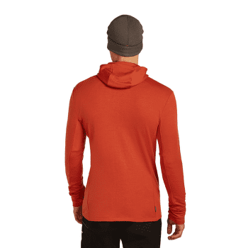 Hanorac Icebreaker Merino 260 Quantum IV LS Zip Hoodie Men BITTERSWEET