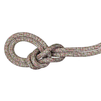 Frânghie Mammut 9.5 Crag We Care Classic Rope assorted 9000
