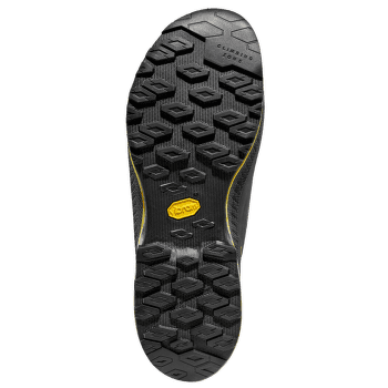 Încălțăminte La Sportiva TX4 Evo GTX Carbon/Bamboo