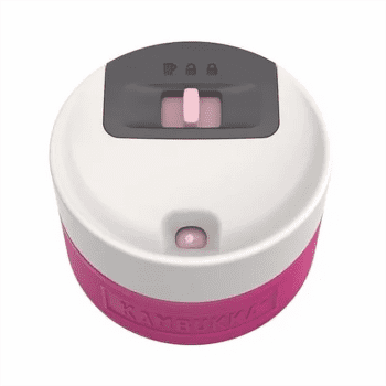 Cană termo Kambukka Etna 300 ml Brushing Bride