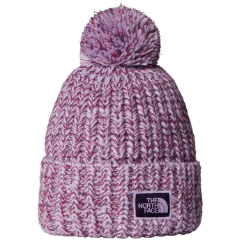 Căciuli The North Face COZY CHUNKY CABIN BEANIE FH8 LITE LILAC/PEAK PURPLE/ETERNAL PURPLE/TNF RED