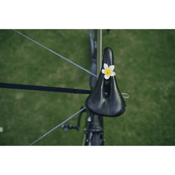 Curea Ticket to the Moon 2ND TREE