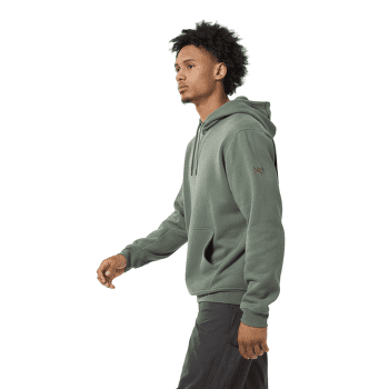Hanorac Arcteryx Emblem Fleece Hoody Men Forage