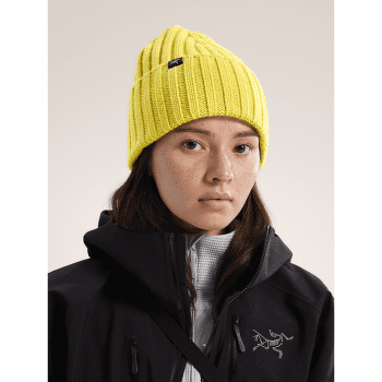 Căciuli Arcteryx Chunky Ribbed Toque Solitude Heather