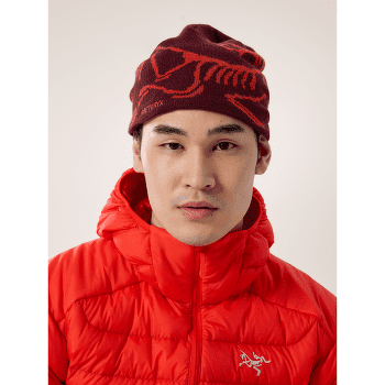 Căciuli Arcteryx Bird Head Toque Euphoria / Olive Moss
