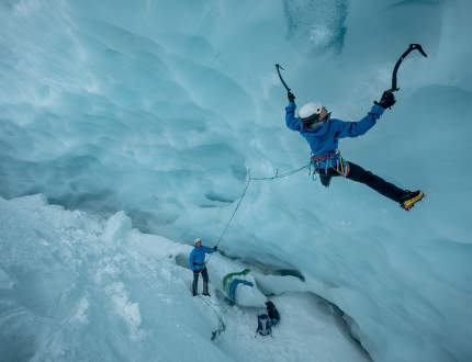 Cum de a alege pisici?