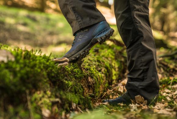 Tăietură anatomică