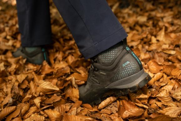 Tăietură anatomică