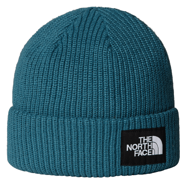 Căciuli The North Face SALTY LINED BEANIE BQ5 SPACE