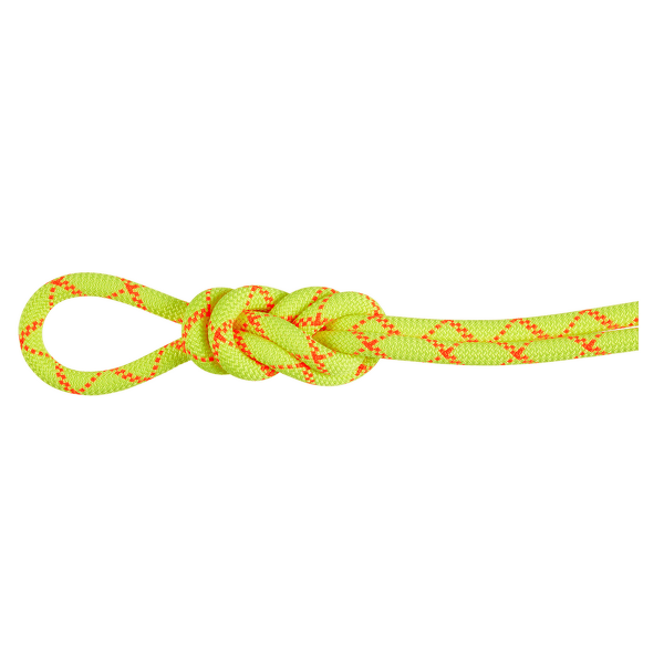 Frânghie Mammut 9.5 Alpine Core Protect Dry Rope 1287 halo-vibrant orange