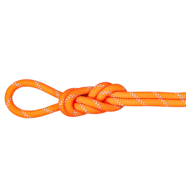 Frânghie Mammut 9.5 Alpine Dry Rope 2286 vibrant orange-zen