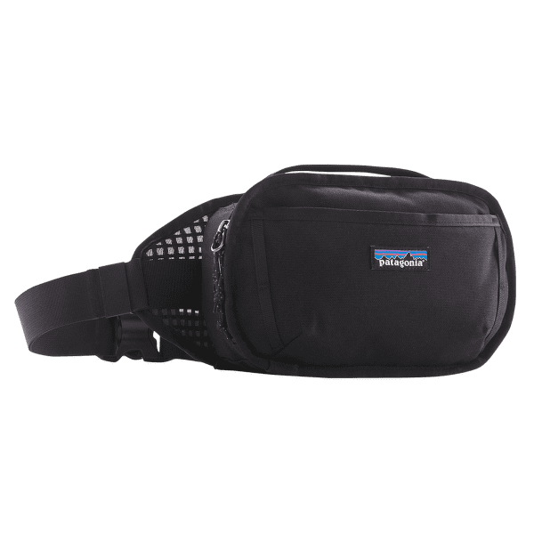 Rinichi Patagonia Fieldsmith Hip Pack Black