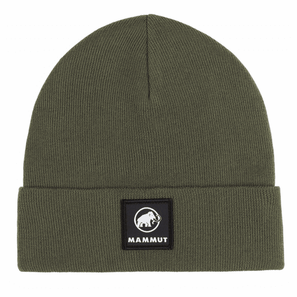 Căciuli Mammut Fedoz Beanie 40284 dark marsh