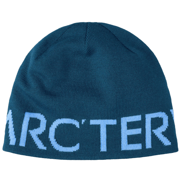 Căciuli Arcteryx Word Head Toque Nightscape / Glacial
