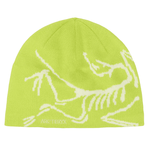 Căciuli Arcteryx Bird Head Toque Mantis / Arctic Silk