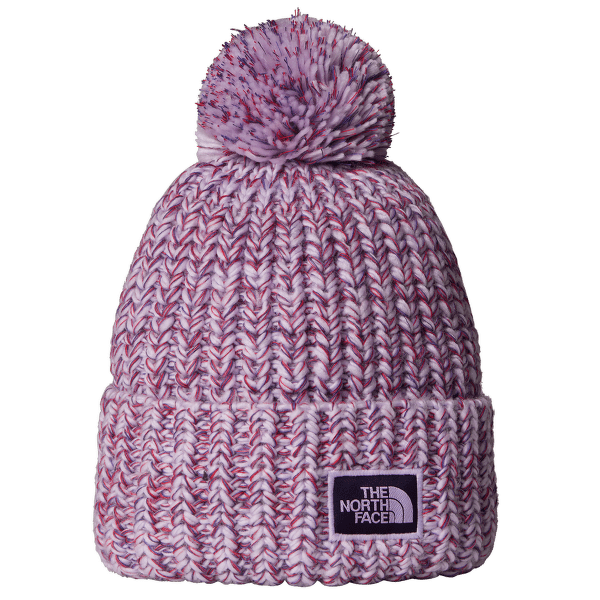 Căciuli The North Face COZY CHUNKY CABIN BEANIE FH8 LITE LILAC/PEAK PURPLE/ETERNAL PURPLE/TNF RED