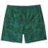 Pantaloni scurți Patagonia Hydropeak Volley Shorts Men Cliffs and Coves: Conifer Green