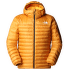 TERRA PEAK HOODIE Men CITRINE YELLOW