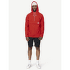 Pulover Devold Archive Anorak 201A ENGLISH RED