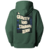 Hanorac The North Face HERITAGE GRAPHIC RELAXED HOODIE Men DUCK GREEN