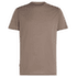 Merino 125 Cool-Lite Sphere III SS Tee Men PORCINI