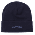 Căciuli Arcteryx Word Toque Black Sapphire