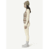 Tricou cu mânecă lungă Devold Signature Merino 230 Shirt Women 010A RAW WHITE