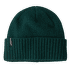 Căciuli Patagonia Brodeo Beanie Cascade Green