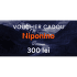 NIPONINO Voucher cadou electronic 300 lei