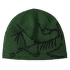 Căciuli Arcteryx Bird Head Toque Eden/Black