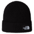 SALTY LINED BEANIE TNF BLACK